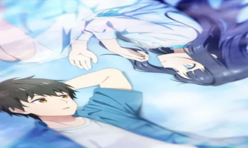 Love Unseen Beneath the Clear Night Sky Light Novel Review