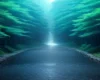 Manga ‘Boku no Suki na Hito ga Suki na Hito’ Gets TV Anime